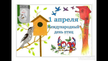 Международный день птиц Международный день птиц.