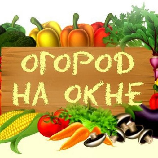 Проект "Огород на окне" Проект "Огород на окне".